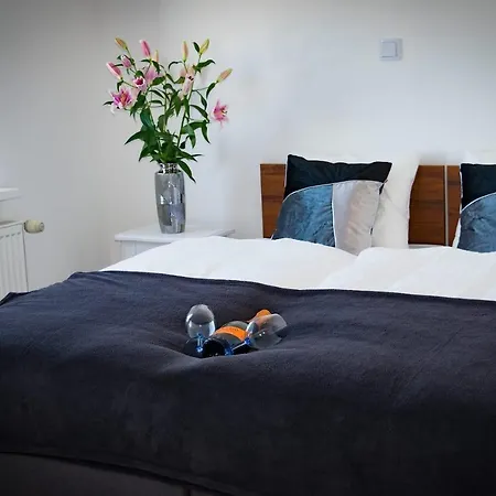 Laura Мендзыздрое